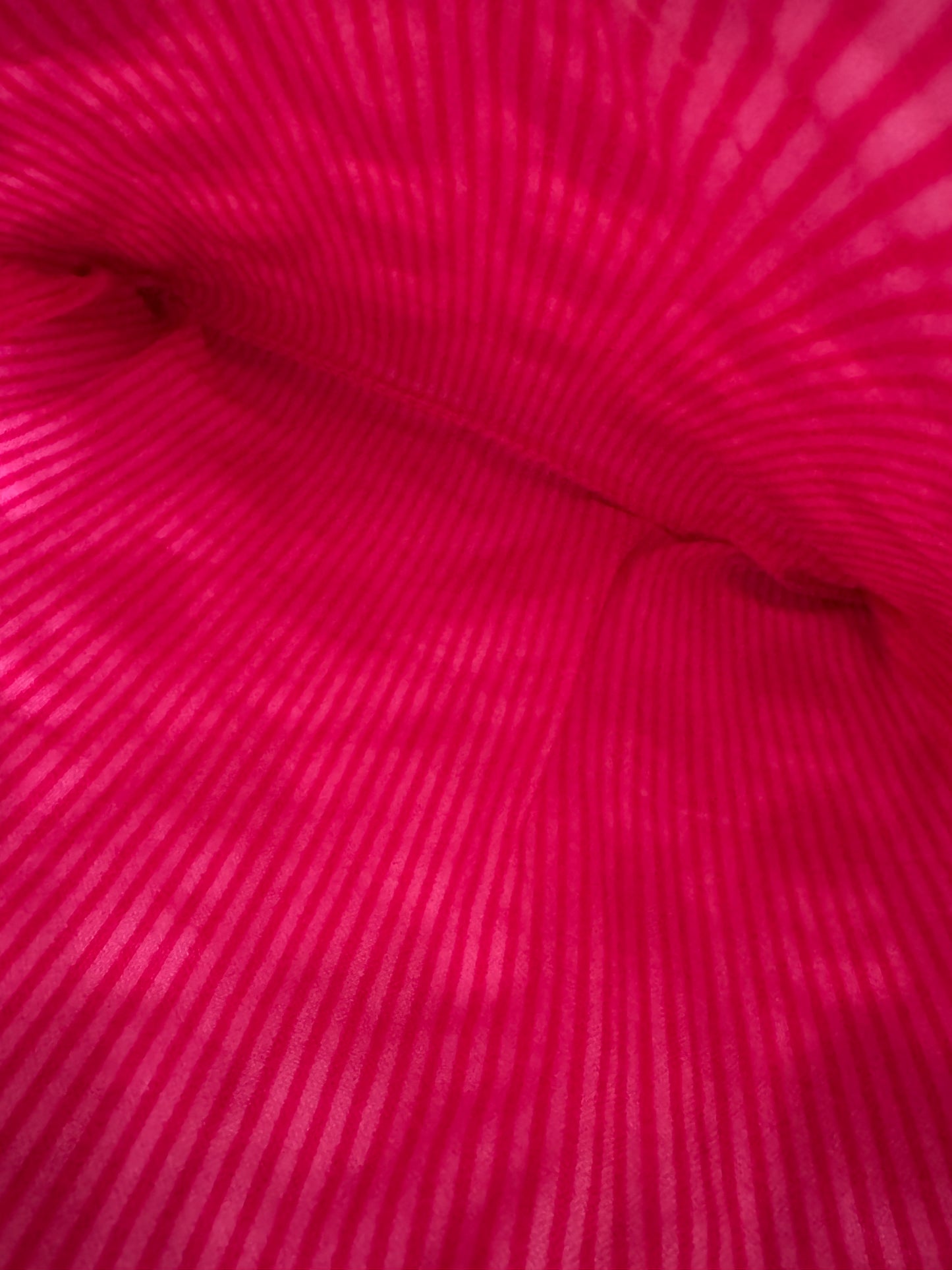 What’s Your Favourite Scary Movie?